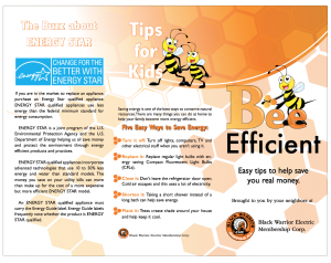 bee-efficient